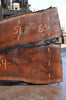 Oregon Black Walnut Slab 062122-01