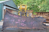 Oregon Black Walnut Slab 081822-01