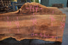 Big Leaf Maple Slab 083121-01