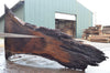 Oregon Black Walnut Slab 081822-02