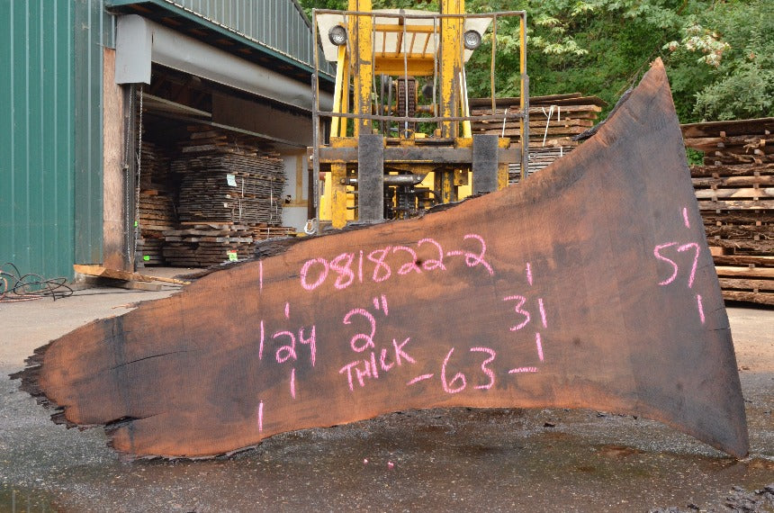 Oregon Black Walnut Slab 081822-02