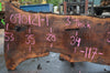 Oregon Black Walnut Slab 090121x-01