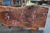 Oregon Black Walnut Slab 090121x-01