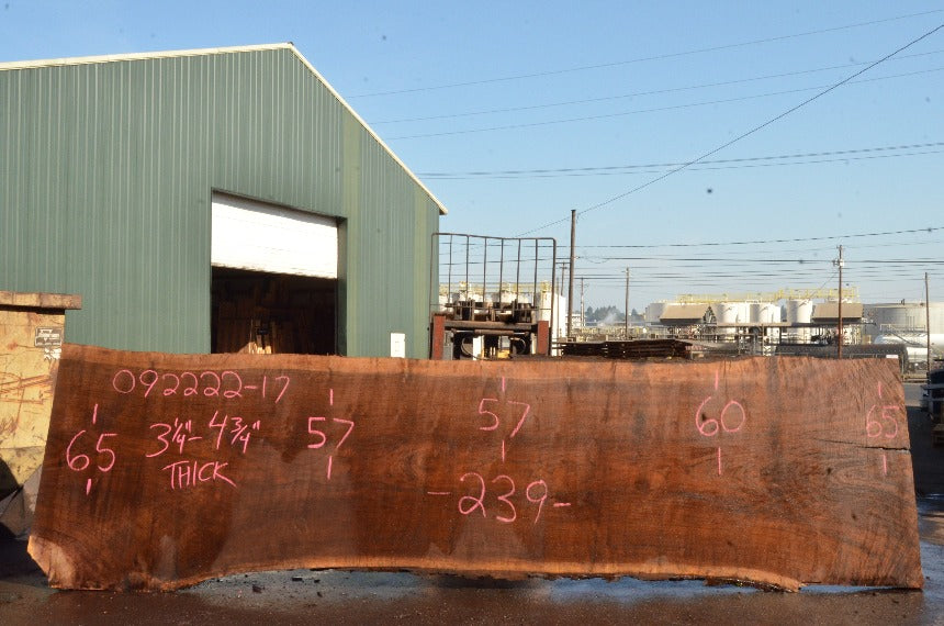 Oregon Black Walnut Slab 092222-17