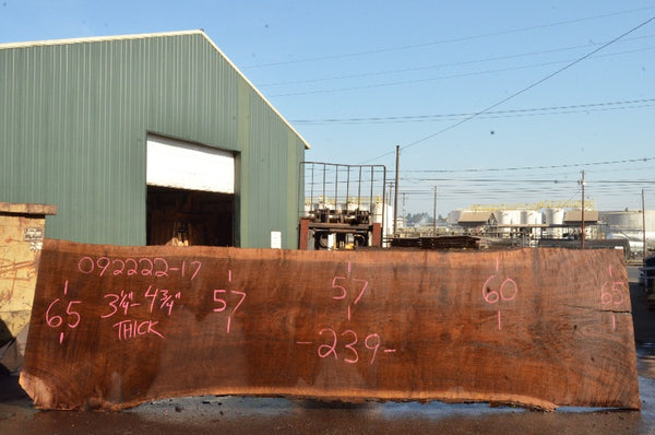 Oregon Black Walnut Slab 092222-17