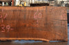 Oregon Black Walnut Slab 092222-17