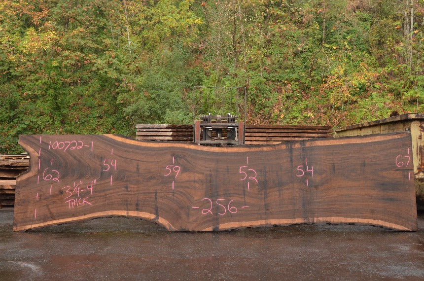 Oregon Black Walnut Slab 100722-01
