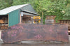 Oregon Black Walnut Slab 081922-03