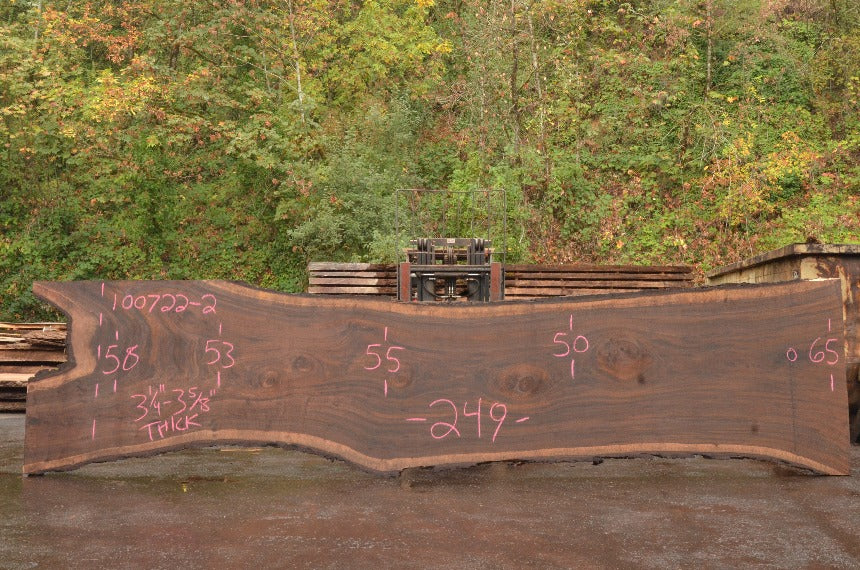Oregon Black Walnut Slab 100722-02