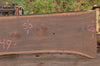 Oregon Black Walnut Slab 100722-02