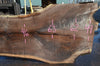 Oregon Black Walnut Slab 090721-01
