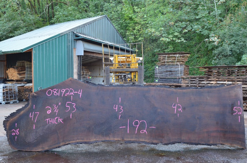Oregon Black Walnut Slab 081922-04