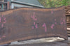 Oregon Black Walnut Slab 100722-04