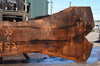 Oregon Black Walnut Slab 062222-01