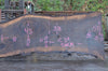 Oregon Black Walnut Slab 100722-05