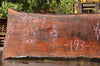 Oregon Black Walnut Slab 081922-07