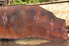 Oregon Black Walnut Slab 081922-07