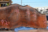 Oregon Black Walnut Slab 081922-08