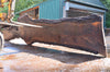 Oregon Black Walnut Slab 081922-10