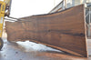 Oregon Black Walnut Slab 100722-09