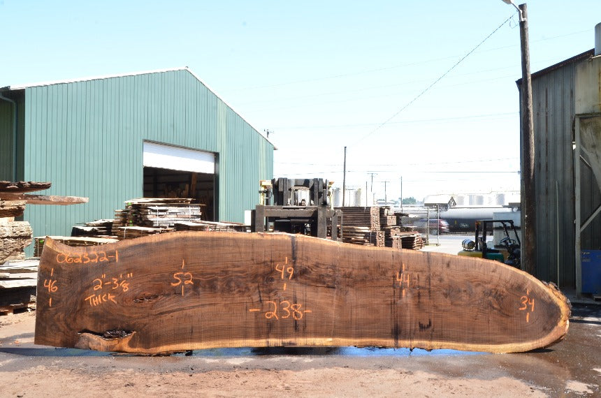 Oregon Black Walnut Slab 062322-01