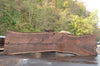 Oregon Black Walnut Slab 100722-09