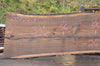 Oregon Black Walnut Slab 100722-09