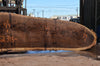 Oregon Black Walnut Slab 062322-01