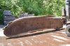 Oregon Black Walnut Slab 062322-02