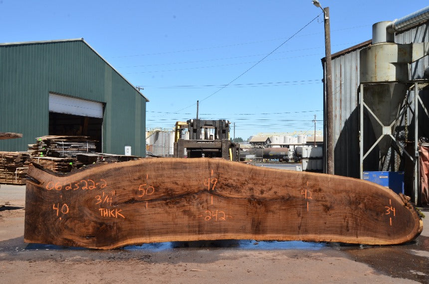 Oregon Black Walnut Slab 062322-02