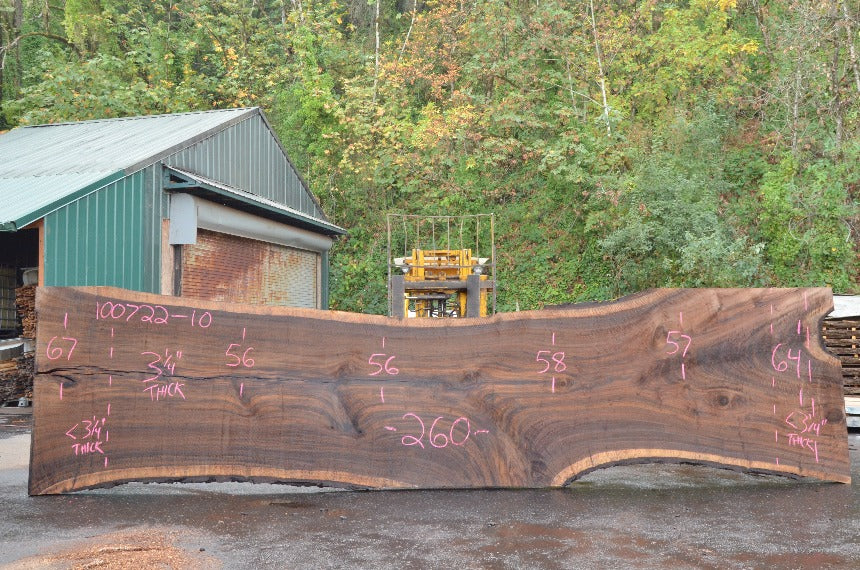 Oregon Black Walnut Slab 100722-10