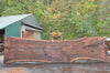 Oregon Black Walnut Slab 100722-10
