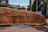 Oregon Black Walnut Slab 062322-02