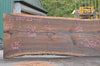 Oregon Black Walnut Slab 100722-10