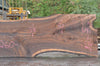 Oregon Black Walnut Slab 100722-10