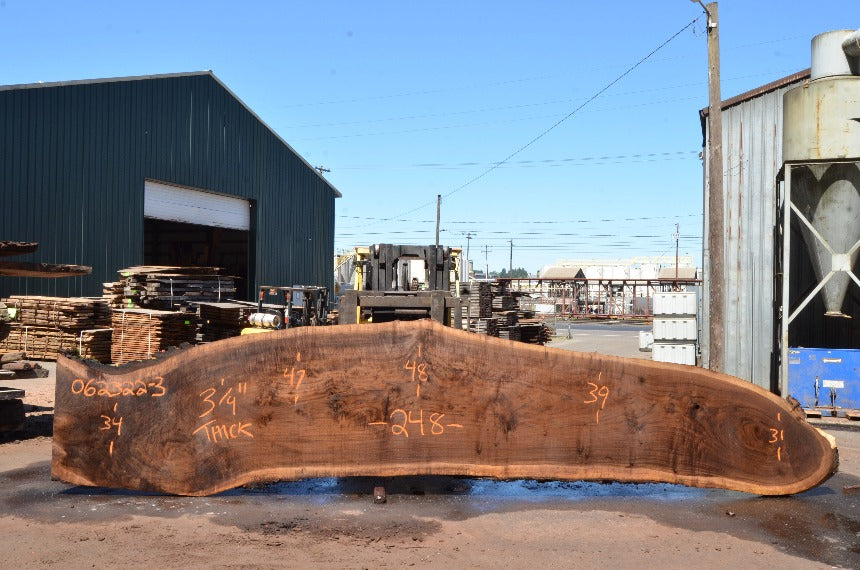 Oregon Black Walnut Slab 062322-03