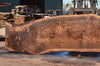 Oregon Black Walnut Slab 062322-03
