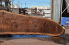 Oregon Black Walnut Slab 062322-03