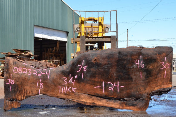 Oregon Black Walnut Slab 082322-04