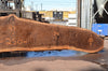 Oregon Black Walnut Slab 062322-04