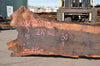 Oregon Black Walnut Slab 032322-10