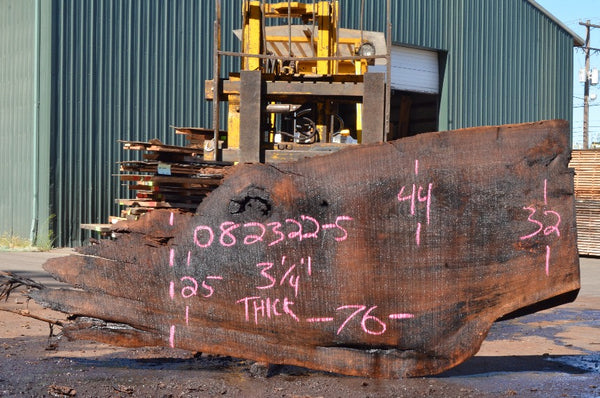 Oregon Black Walnut Slab 082322-05