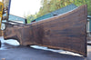 Oregon Black Walnut Slab 100722-13