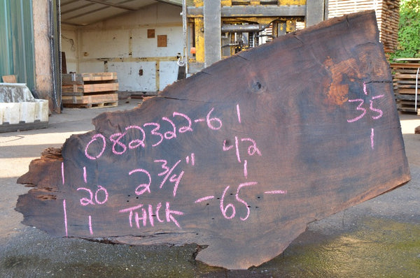 Oregon Black Walnut Slab 082322-06