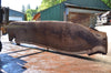 Oregon Black Walnut Slab 062322-07