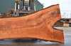 Pecan Slab 050322-08