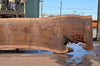 Oregon Black Walnut Slab 062322-09