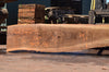 Oregon Black Walnut Slab 062322-11