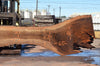 Oregon Black Walnut Slab 062322-11