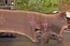 Oregon Black Walnut Slab 101222-04